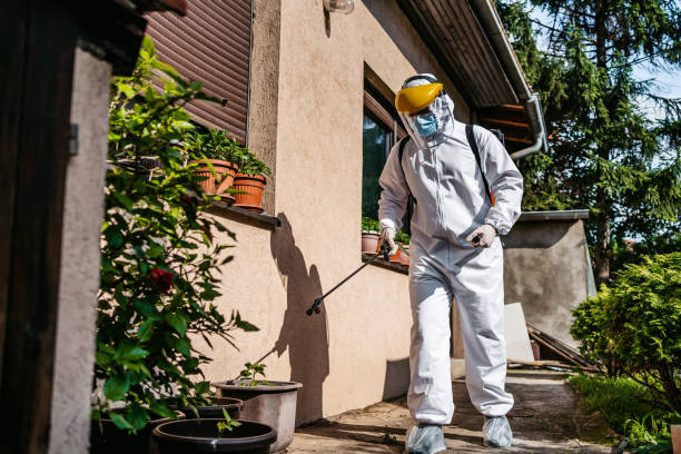 Best Ant Control Services  in Waycross, GA