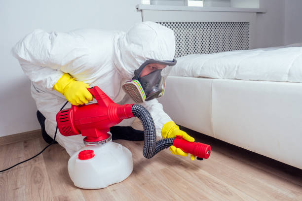 Best Wasp Removal Services  in Waycross, GA