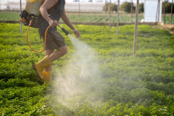 Pest Control for Restaurants in Waycross, GA