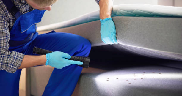 Best Rat Extermination Near Me  in Waycross, GA