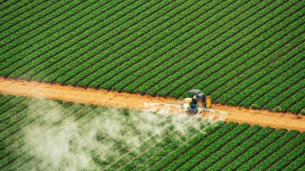 Best Pest Control Near Me  in Waycross, GA