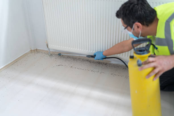 Best Cockroach Control Services  in Waycross, GA