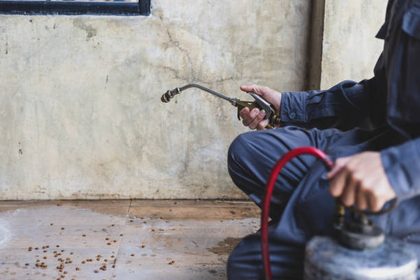 Best Emergency Pest Control  in Waycross, GA