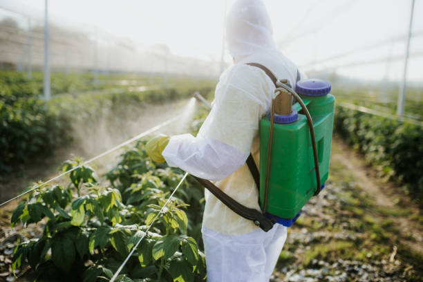 Best Exterminator Services  in Waycross, GA